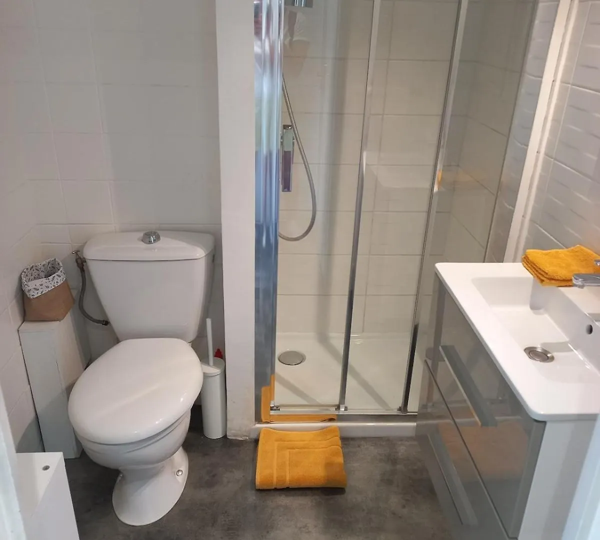 Apartment Studio Avec Balcon, Lumineux, Centre Aix Les Bains Aix-les-Bains